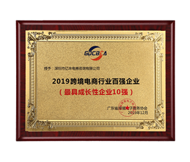 2019跨境電商行業(yè)百強(qiáng)企業(yè)